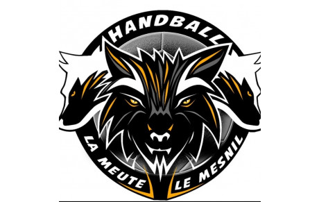 LE MESNIL-EN-THELLE HANDBALL